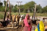 07 Jodpur Udaipur Mix (25)